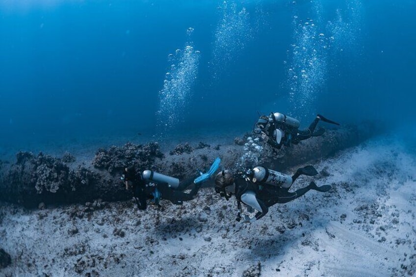 Explore Electric Beach with a private scuba guide. Perfect for beginners, this calm, shallow reef dive is filled with coral, tropical fish, and stunning visibility.