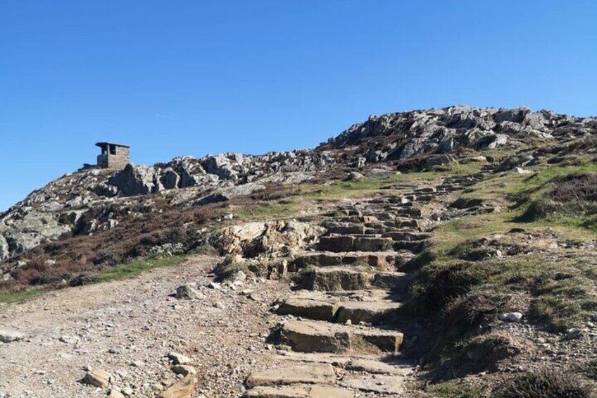 South Stack Coastal Walking Tour with Local History and Café Stop
