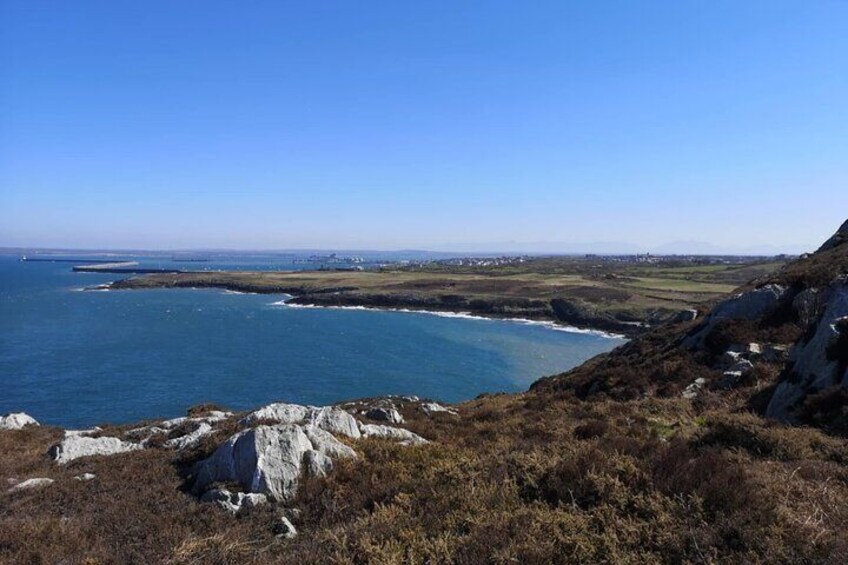 South Stack Coastal Walking Tour with Local History and Café Stop