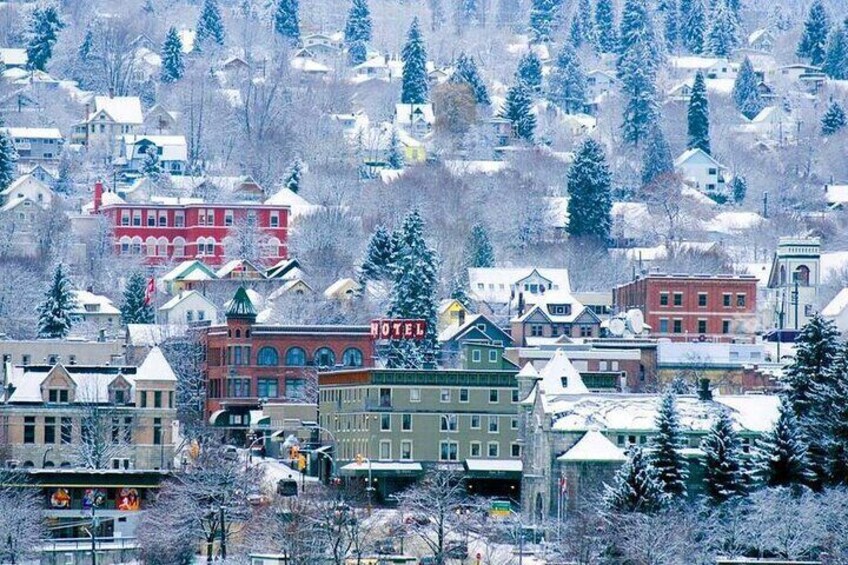 Walk Nelson City and Discover Hidden Gems