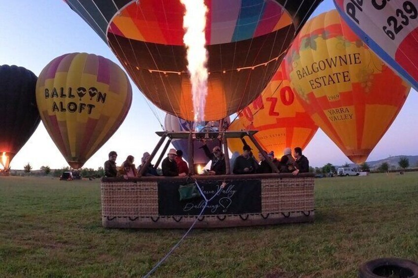Yarra Valley Ballooning Hot Air Balloon Flight