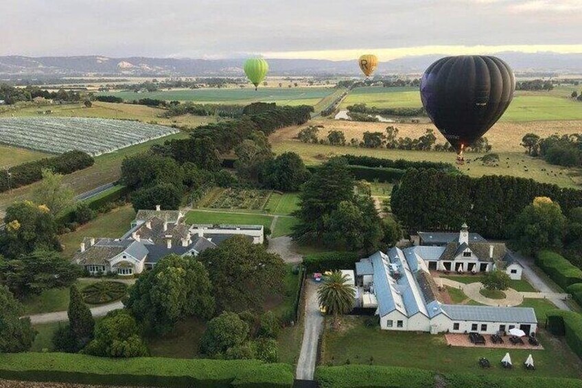 Hot Air Balloon Flight over the Yarra Valley