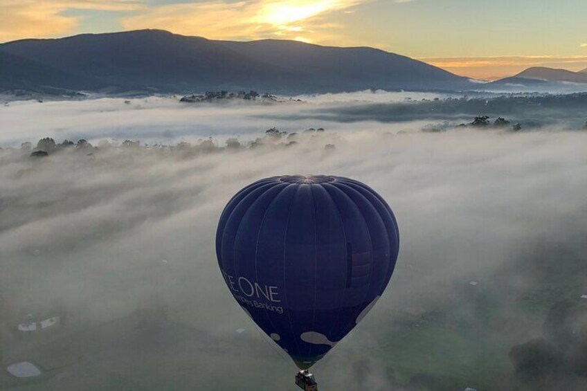 Hot Air Balloon Flight over the Yarra Valley 
