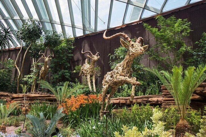 Gardens by the Bay with Flower Dome and Cloud Forest Singapore