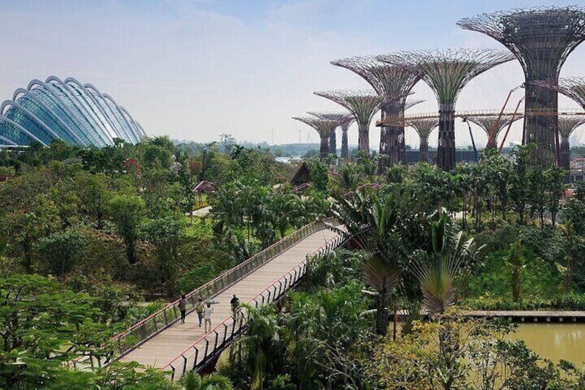Gardens by the Bay with Flower Dome and Cloud Forest Singapore