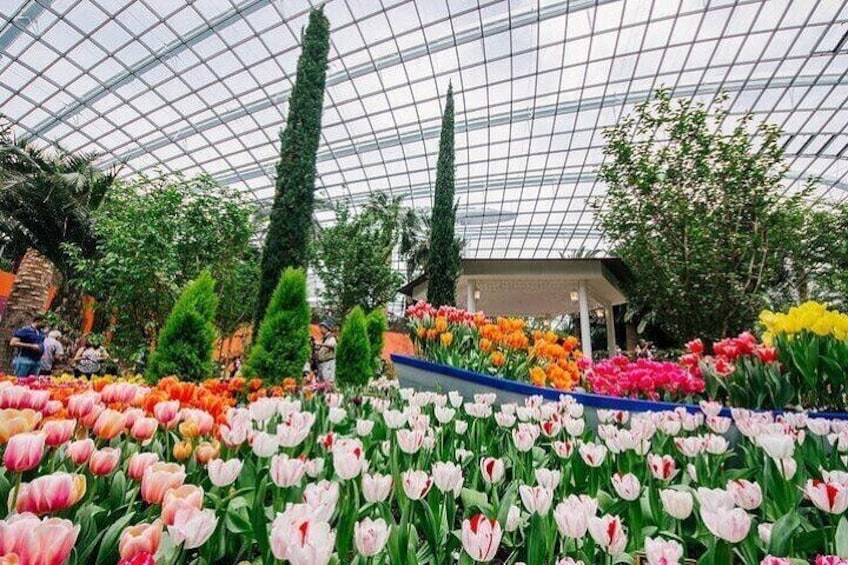 Gardens by the Bay with Flower Dome and Cloud Forest Singapore