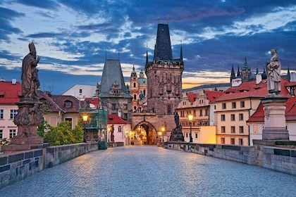 Private day trip from Vienna to Prague with guide