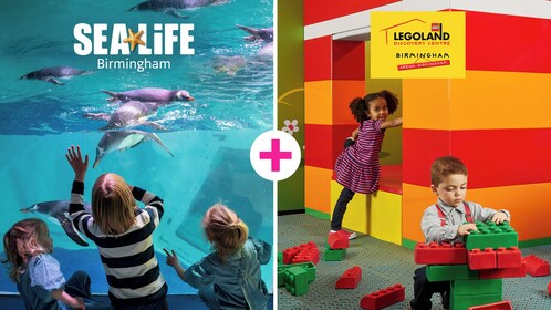 Birmingham: SEA LIFE + LEGOLAND Discovery Centre Combo Ticket