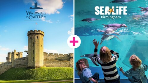 SEA LIFE Birmingham + Warwick Castle Combo Ticket