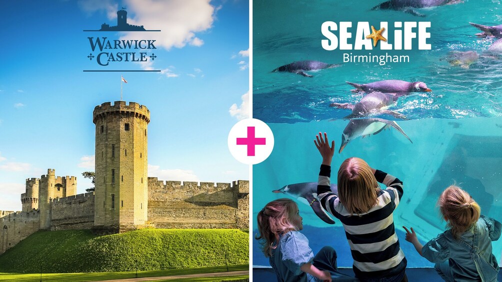 SEA LIFE Birmingham + Warwick Castle