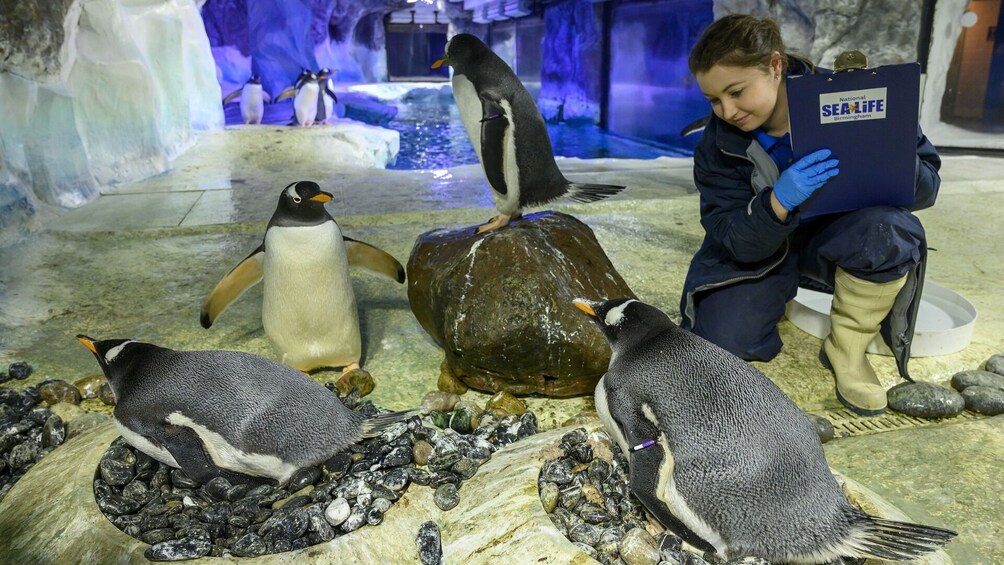 SEA LIFE Birmingham & Cadbury World