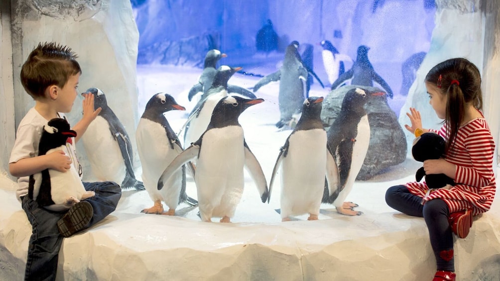 Birmingham: SEALIFE + LEGOLAND Discovery Centre + Warwick Castle + Cadbury 
