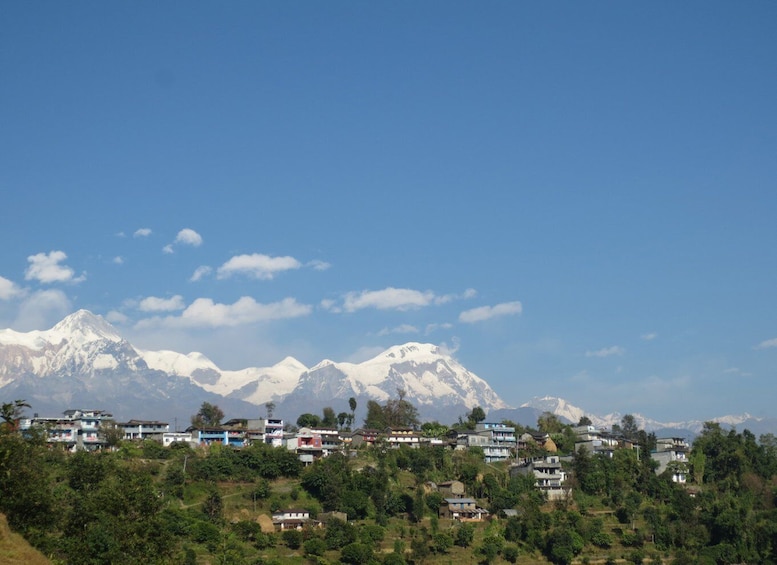 Mountain Flight , Jungle Safari, & Paragliding Tour