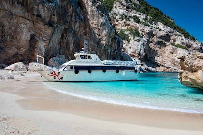 Cala Gonone: exclusive early cruise around the coast