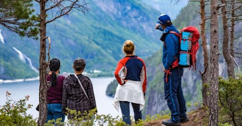 From Bergen: 2 in 1 - Fjord Cruise and Guided Mountain Hike