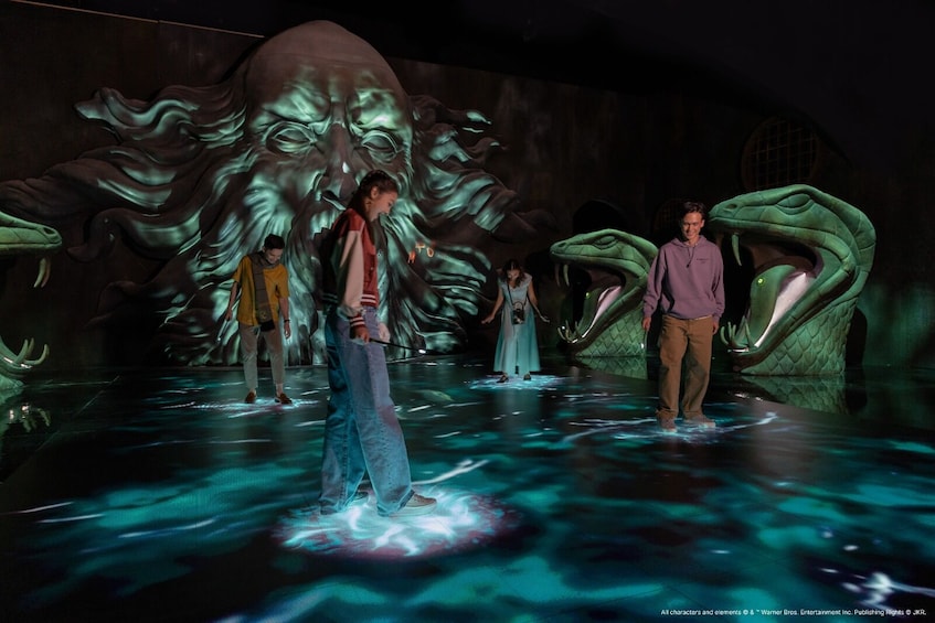 Harry Potter Visions of Magic