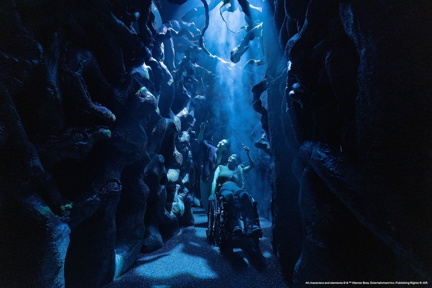 Harry Potter Visions of Magic