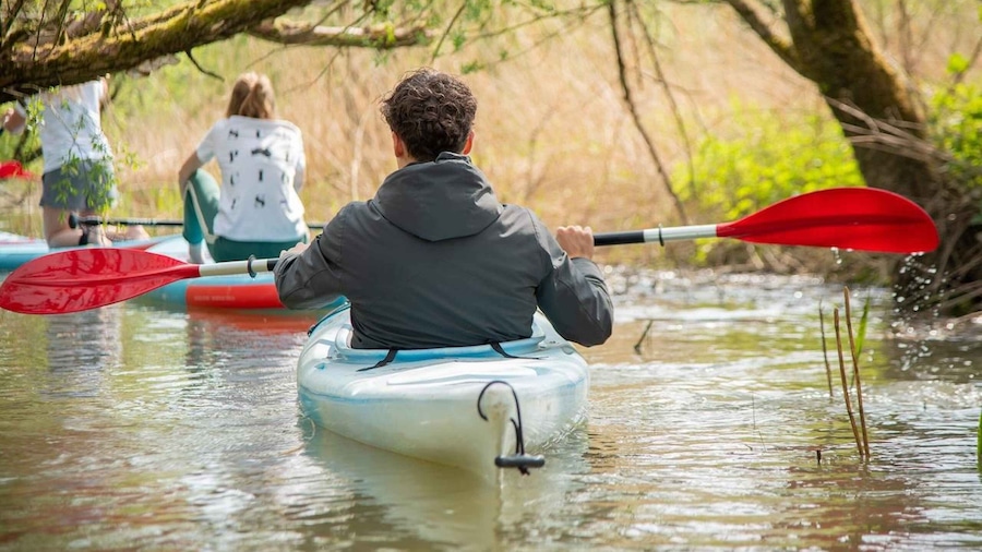 Biesbosch: Kayak Rental with Route Map and Life Jacket