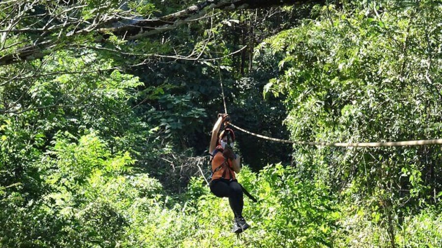 Zipline