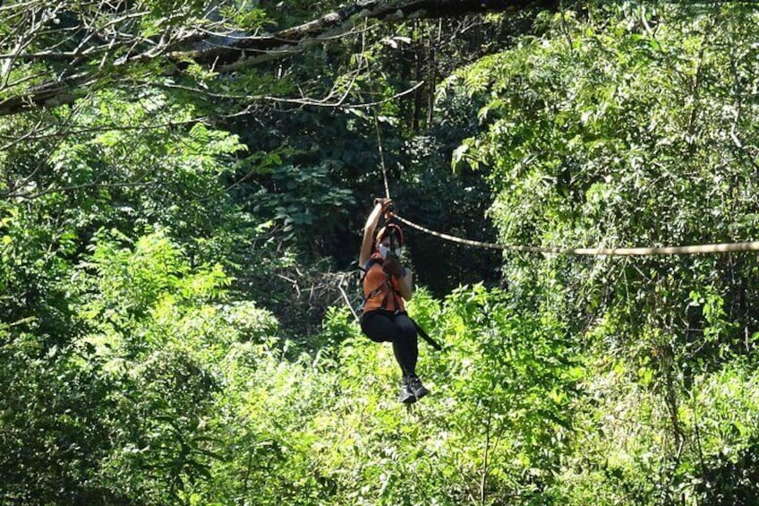 Zipline