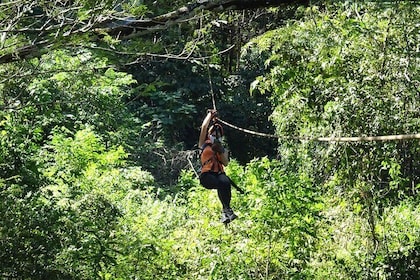 Monkey Jungle Zipline i Tamarindo, Costa Rica