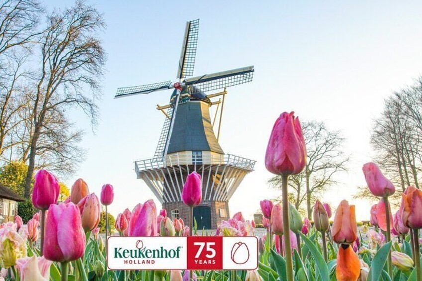 Ticket Keukenhof: Entry + Roundtrip Shuttle Bus from Amsterdam