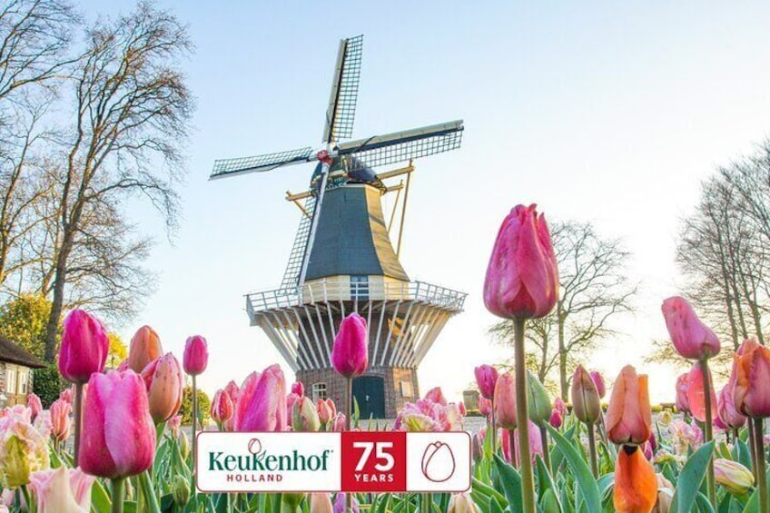 Ticket Keukenhof: Entry + Roundtrip Shuttle Bus from Amsterdam