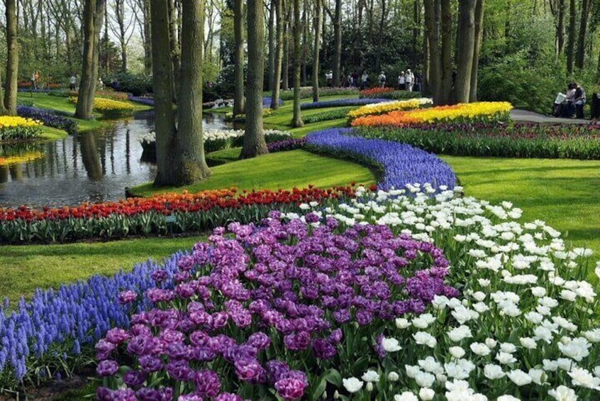 Keukenhof the World's Largest Spring Garden Tour From Amsterdam