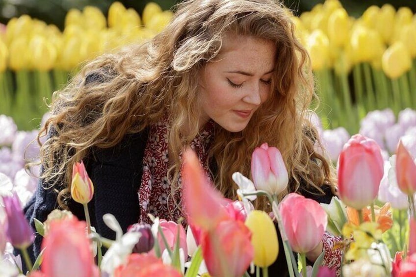 Keukenhof Ticket With Roundtrip Shuttle Bus from Amsterdam