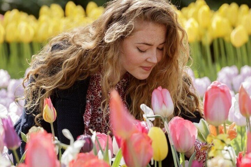 Keukenhof Ticket With Roundtrip Shuttle Bus from Amsterdam