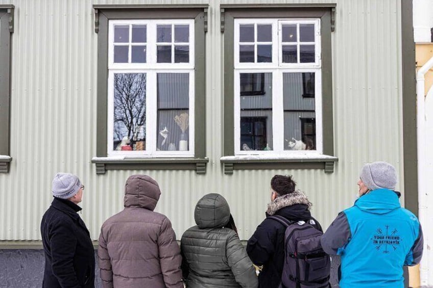 Travellers admiring the cats waiting for them to come and pet them