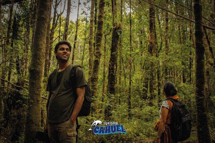 Picture 2 for Activity Tepuhueico Park: Introduce yourself to Chiloé.