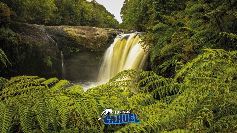 Tepuhueico Park: Introduce yourself to Chiloé.