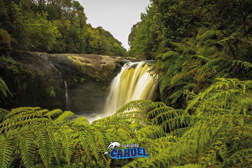 Tepuhueico Park: Introduce yourself to Chiloé.