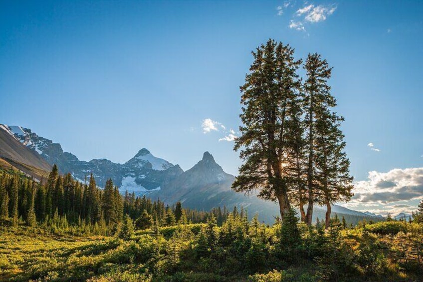 Banff & The Icefields Parkway | Small Group Active Full Day Adventure Tour