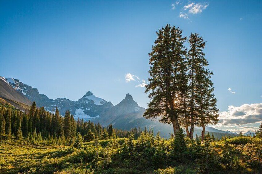 Banff & The Icefields Parkway | Small Group Active Full Day Adventure Tour