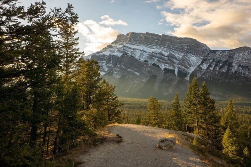 Small-Group Guided Banff Highlights & Wildlife Tour