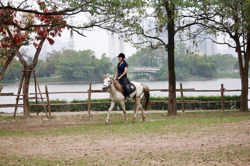Hanoi Horseback Riding Tour - Exclusive Experience