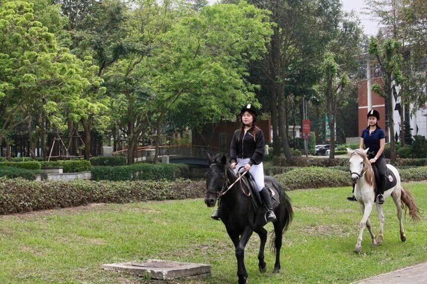 Hanoi Horseback Riding Tour - Exclusive Experience