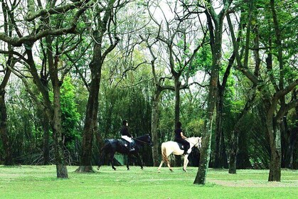 Hanoi Horseback Riding Tour - Exclusive Experience