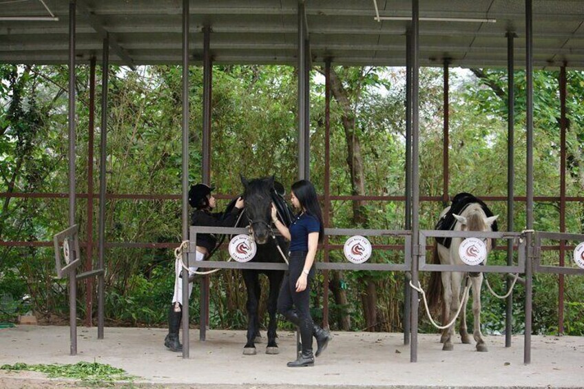 Hanoi Horseback Riding Tour - Exclusive Experience