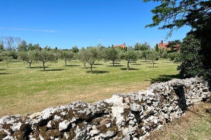 Self-guided tour Torcello Venice individually experience