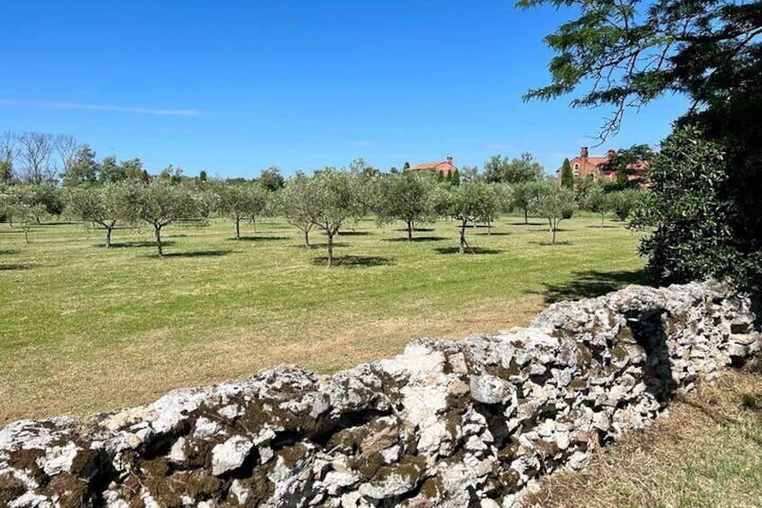 Pure idyll on Torcello