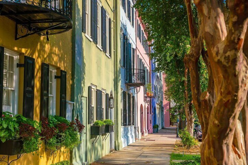 Charm of Charleston History and Sights Private Tour