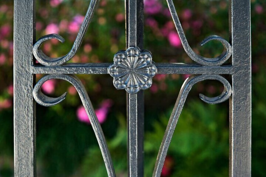 Charm of Charleston History and Sights Private Tour