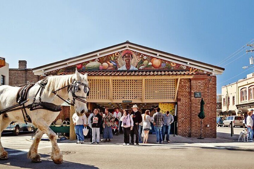 Charm of Charleston History and Sights Private Tour