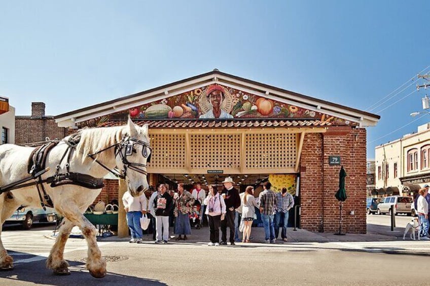 Charm of Charleston History and Sights Private Tour