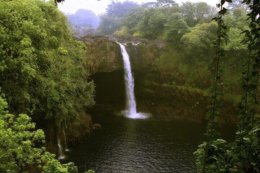 Hilo and Volcano National Park Tour for Cruise Passengers at port