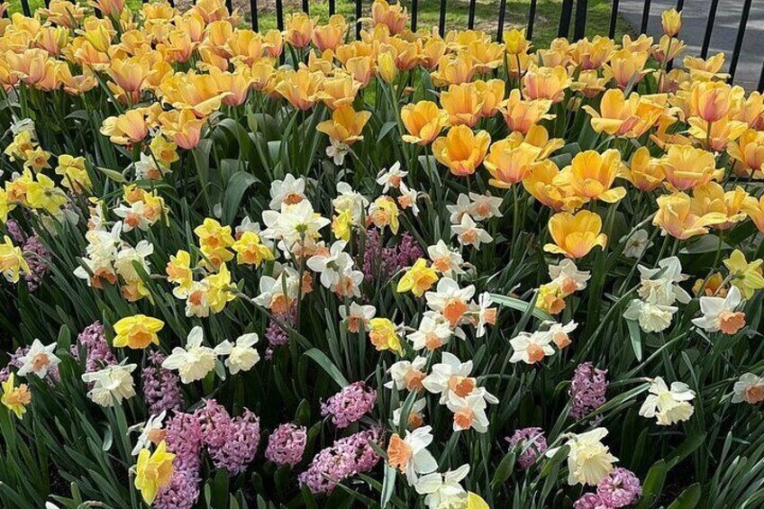 Discover the Beauty of Longwood Gardens
