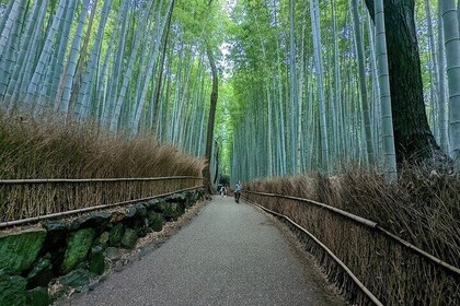 Full Day Kyoto Private Customisable Tour